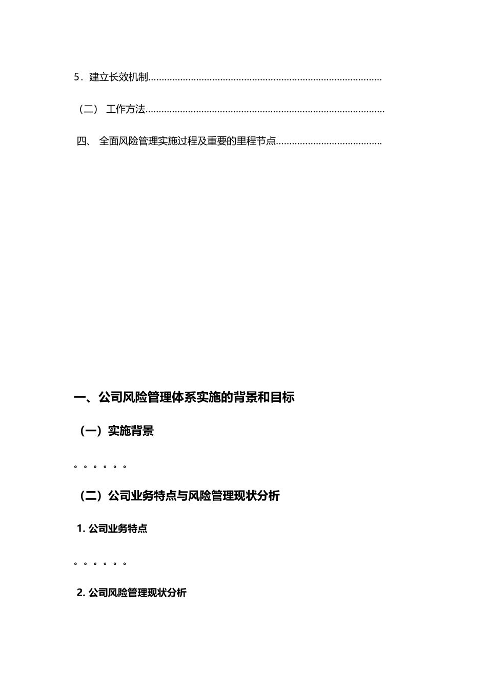 全面风险管理项目实施方案(模板)_第3页