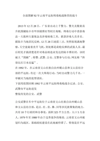 全面图解92年云南平远街缉毒枪战惨烈的战斗