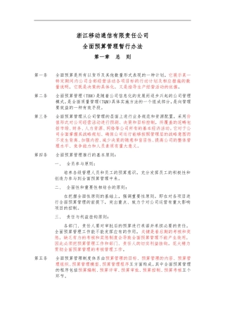 全面预算管理办法