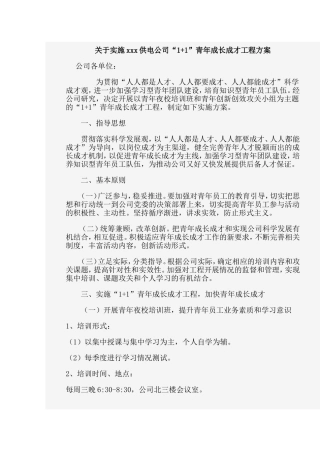 企业青年成长成才实施方案