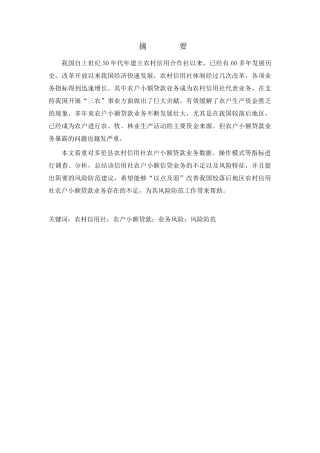 农村小额贷款的风险研究分析  财务管理专业