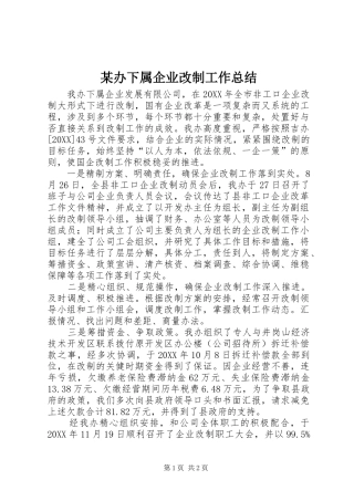 办下属企业改制工作总结