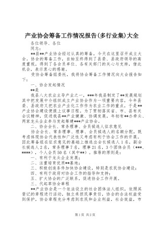 产业协会筹备工作情况报告多行业集大全