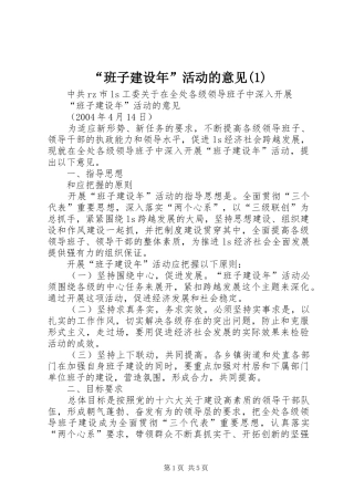 班子建设年活动的意见