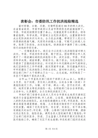 表彰会市委防汛工作抗洪抢险