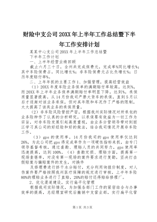 财险中支公司上半年工作总结暨下半年工作安排计划