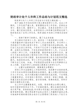 财政审计处个人年终工作总结与计划范文