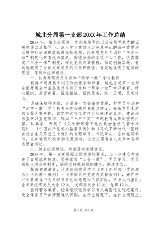 城北分局第一支部工作总结