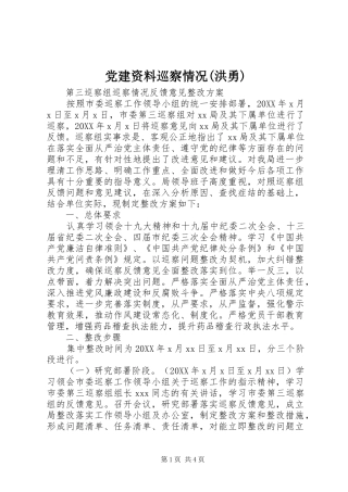 党建资料巡察情况洪勇