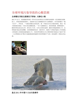 全球环境污染