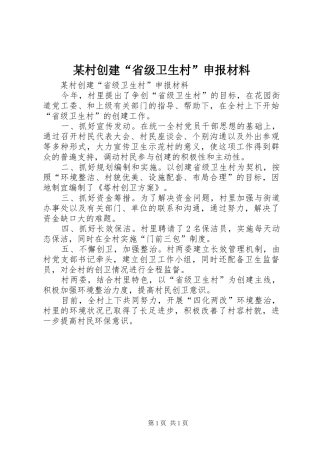 村创建省级卫生村申报材料