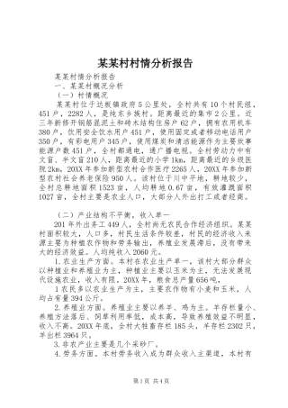 村村情分析报告