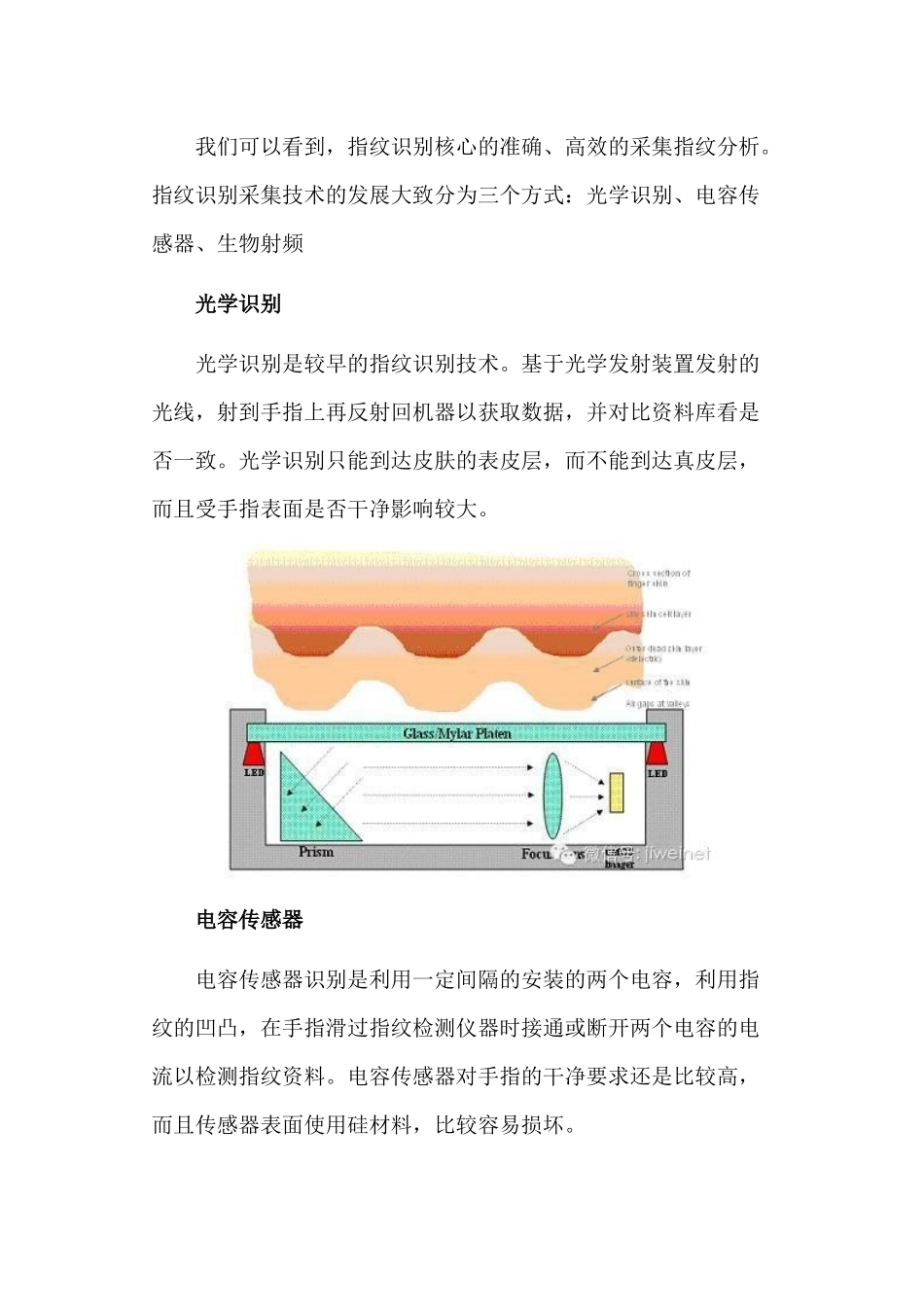 全球指纹识别厂家与技术方案综述_第3页