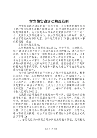 村党性实践活动范例