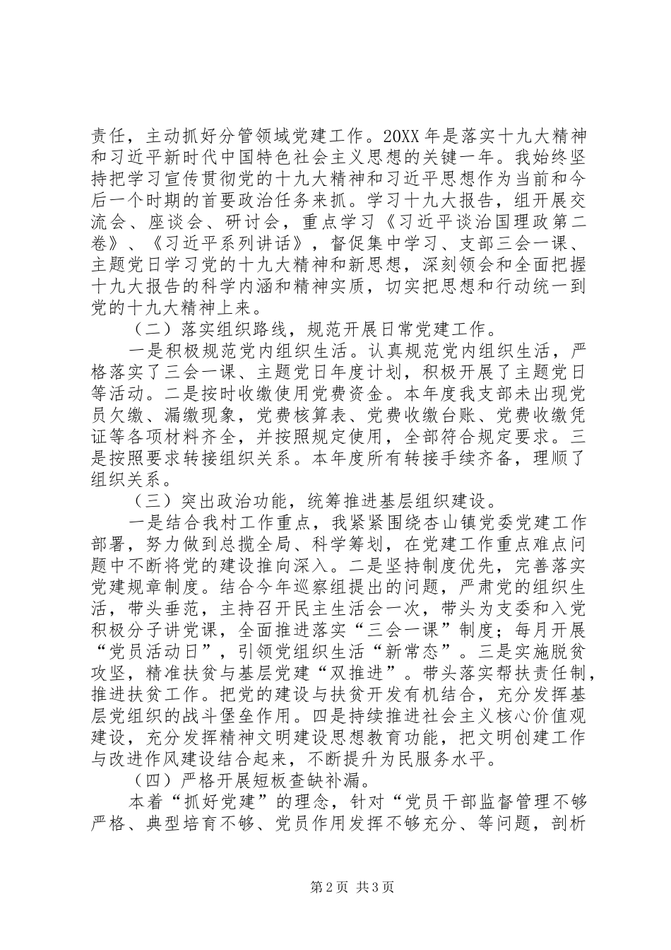 村党支部书记党建工作述职报告_第2页