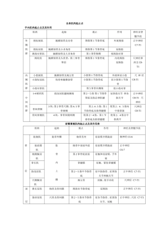 全身肌肉起止点
