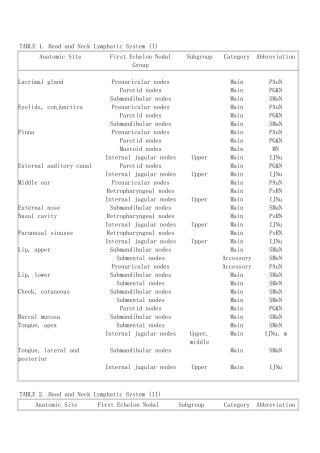 全身淋巴分区缩写对照