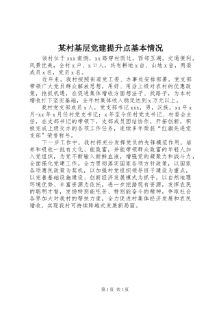 村基层党建提升点基本情况