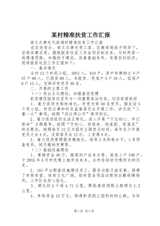 村精准扶贫工作汇报