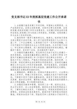 党支部书记年度抓基层党建工作公开承诺书