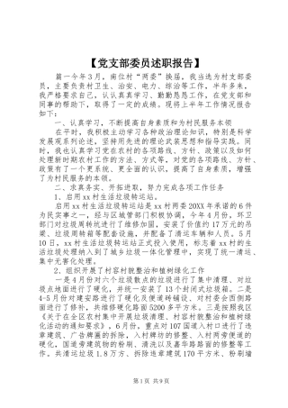 党支部委员述职报告