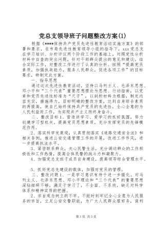 党总支领导班子问题整改方案