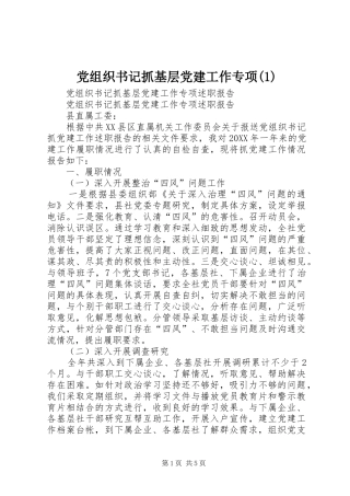 党组织书记抓基层党建工作专项