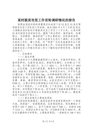 村脱贫攻坚工作首轮调研情况的报告