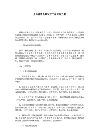 全县普惠金融试点工作实施方案-总结报告模板