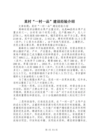 村一村一品建设经验介绍
