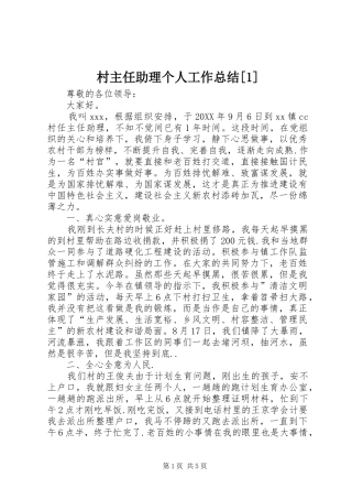 村主任助理个人工作总结