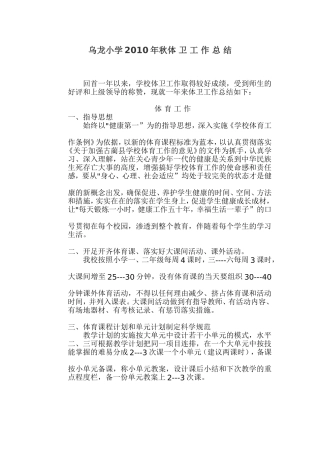 体-卫-工-作-总-结