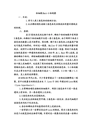 体细胞Barr小体观察