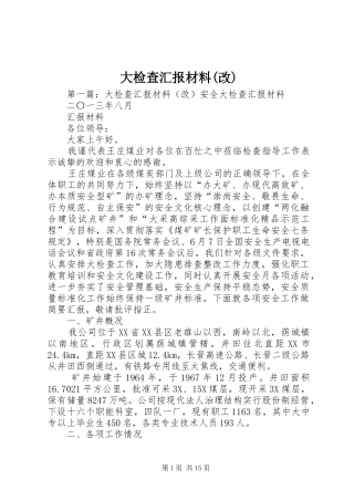 大检查汇报材料改