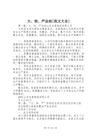 大快严总结范文大全