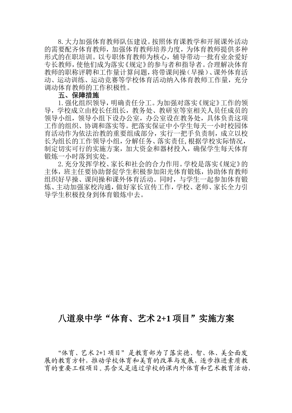 体育、艺术2+1项目_第3页