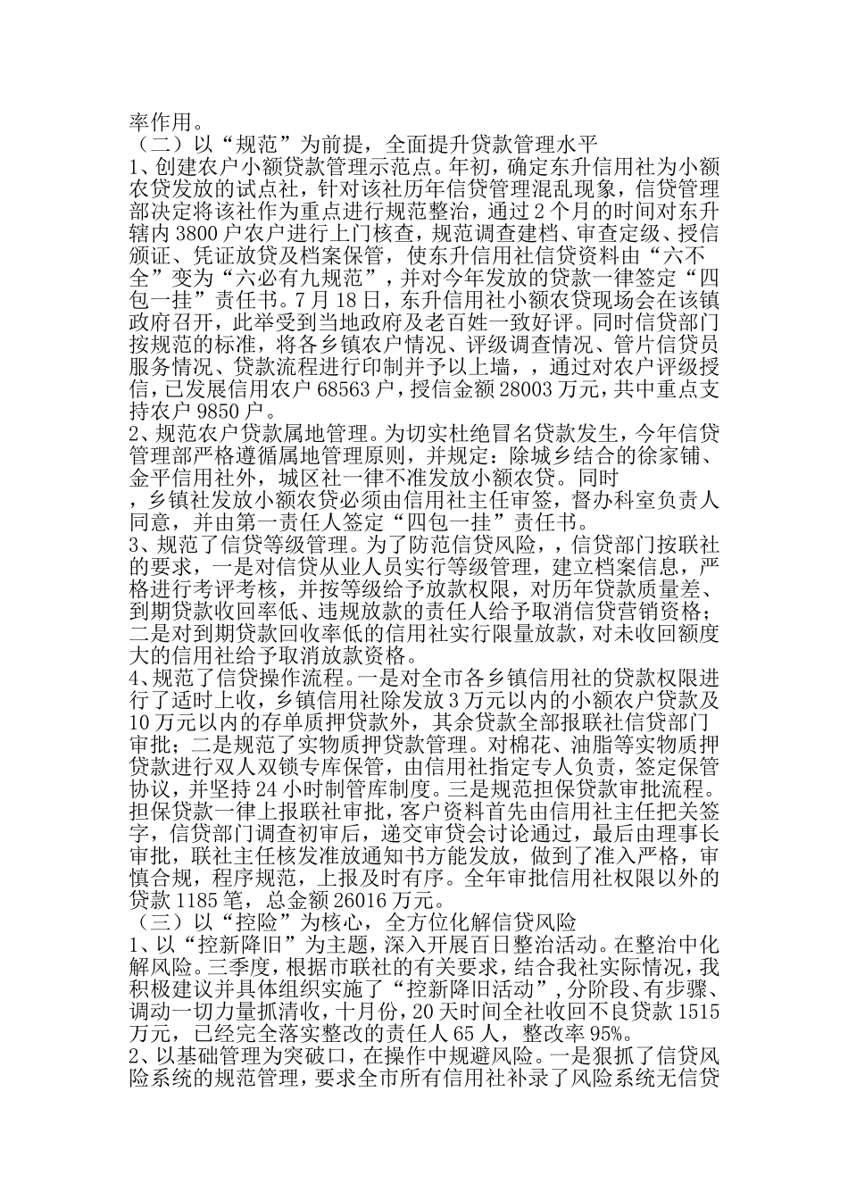 信贷工作总结及规划-2019年范文精选_第3页