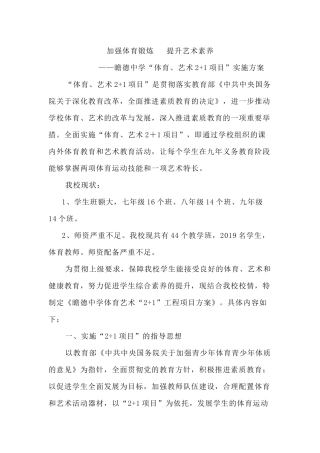 体育艺术2+1