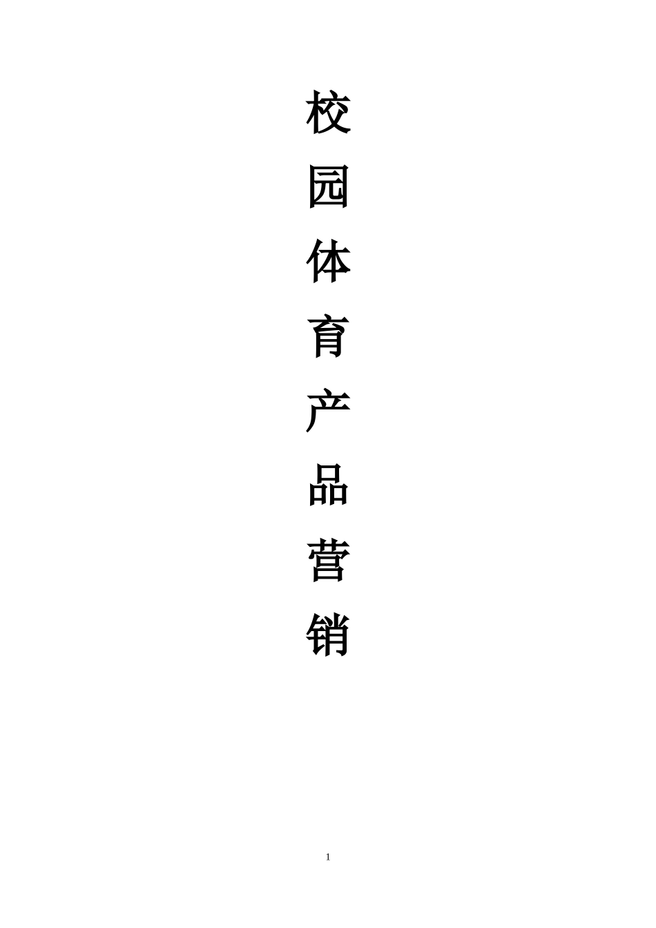 体育用品营销策划书_第1页