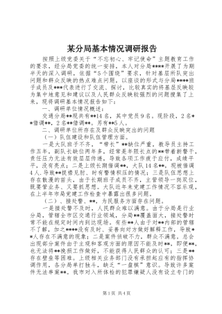 分局基本情况调研报告