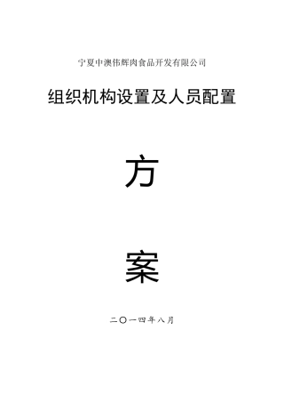 伟辉公司组织结构设置及人口配置方案