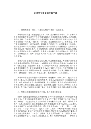 先进党支部党建经验交流-心得体会模板