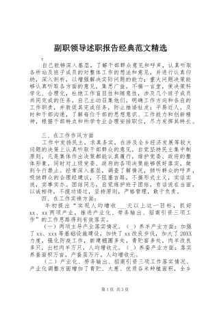 副职领导述职报告经典范文