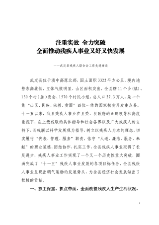 先进集体材料武定县残联
