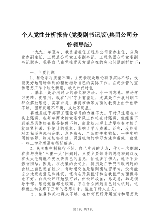 个人党性分析报告党委副书记版集团公司分管领导版