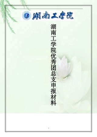 优秀团总支申报材料