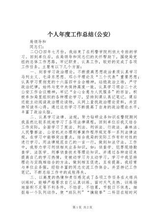 个人年度工作总结公安