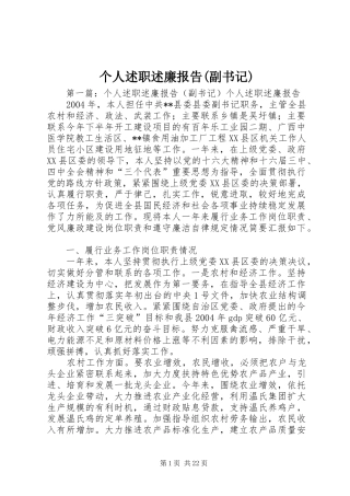 个人述职述廉报告副书记