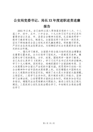 公安局党委书记局长年度述职述责述廉报告