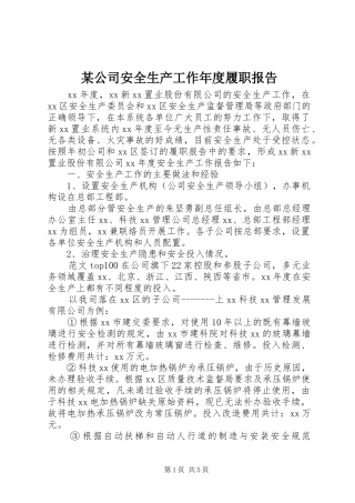 公司安全生产工作年度履职报告